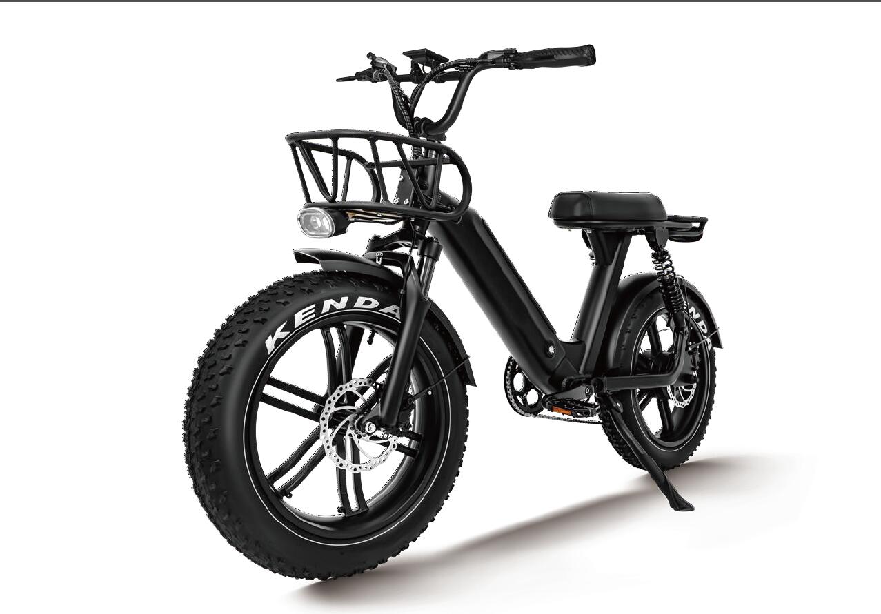 20 inch fat tyre mountain electric bicycle