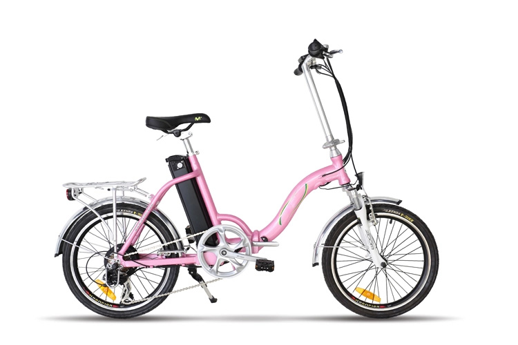 36V 250W electric bicycle motor application