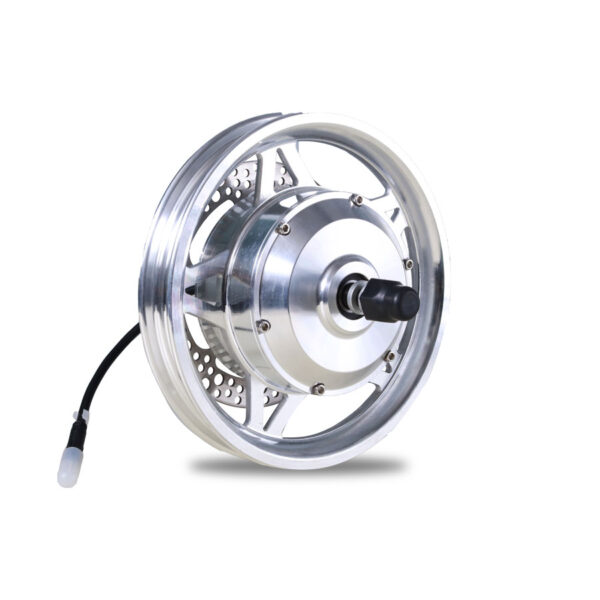 12 inch wheel hub motor